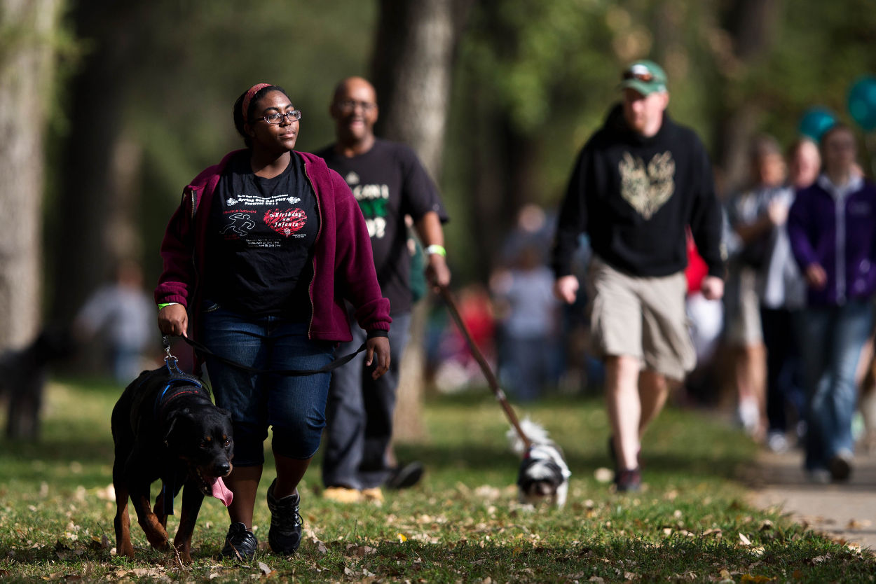 Walk for the Animals 2012